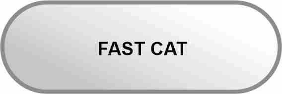 FAST CAT